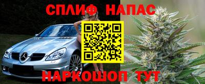 ешки Славгород