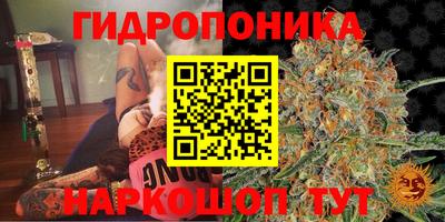 ешки Славгород